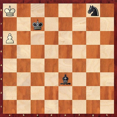 مسئله شطرنج | نوبت سیاه