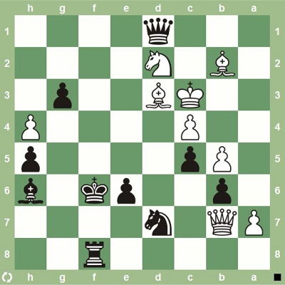 معمای شطرنج | نوبت سیاه