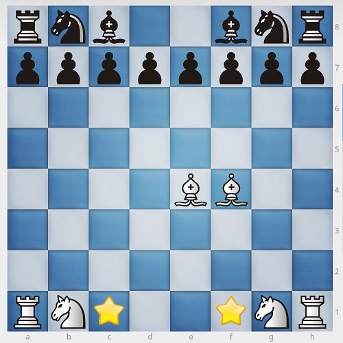 چیدمان ابتدایی مهره فیل در صفحه شطرنج