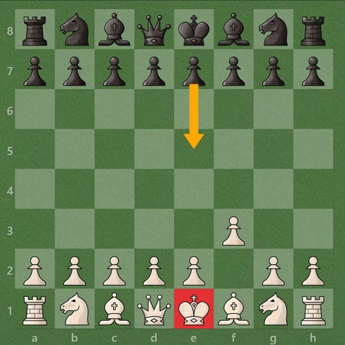 حرکت منطقی e5 باعث کنترل مرکز و باز شدن مسیر وزیر و فیل میشود