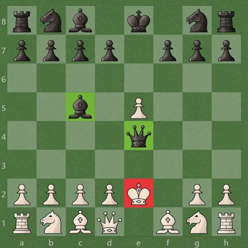 آموزش شطرنج | گامبی شاه نپذیرفته