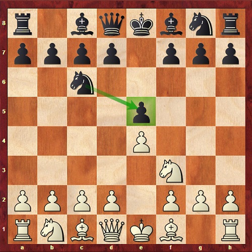 آموزش شطرنج | مفهوم پشتیبان