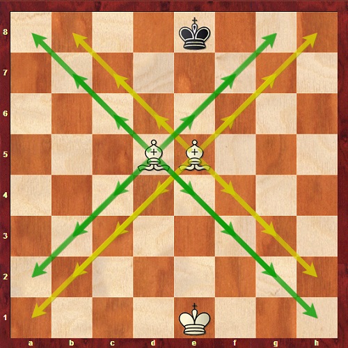 جفت فیل در مرکز صفحه شطرنج